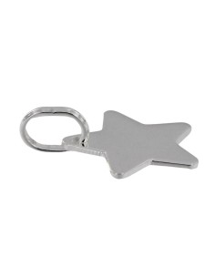 COLG-878 - COLGANTE DE PLATA EN FORMA DE ESTRELLA 16X16 MM 2