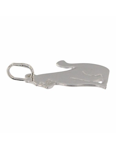 COLG-936 - COLGANTE DE PLATA CON MOTIVO DE GATO 23X15 MM