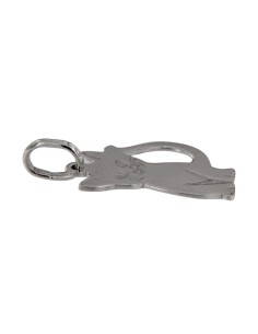 COLG-837 - COLGANTE DE PLATA CON FROMA DE GATO 20X14 MM 2