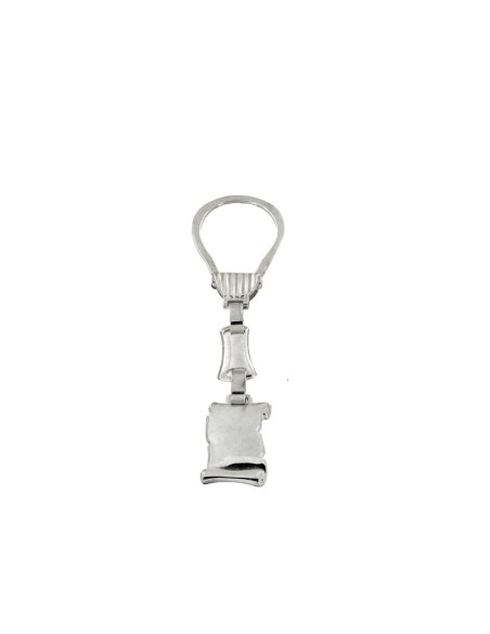 LL-37 - LLAVERO DE PLATA PERGAMINO LISO DE 26 MM X 19 MM Y 9 CM