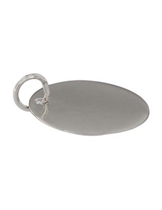 PLACA-20RO - PLACA DE PLATA RODIADA DE 20 MM DE DIÁMETRO 2
