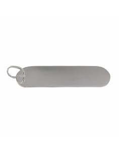 PLACA-171 - PLACA DE PLATA DE 25 MM X 40 MM 2