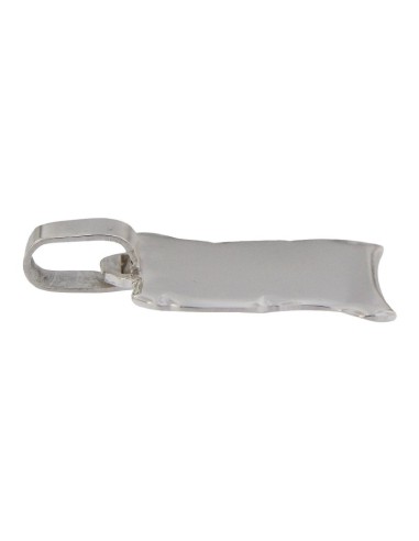 PLACA-165 - PLACA PERGAMINO 22 MM X 17 MM
